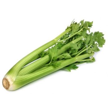 Celeri KG